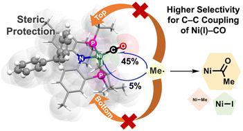 Graphical abstract: Reactivity of low-valent nickel carbonyl species supported by acridane based PNP ligands towards iodoalkanes