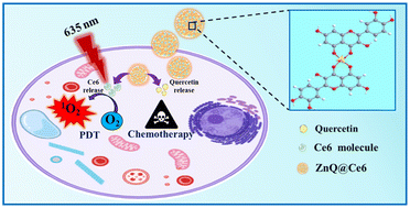 Graphical abstract: Rationally designed porous self-assembled nanoparticles for combinational chemo-photodynamic therapy