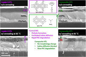 Graphical abstract: Evaporated organic–MoO3 composite hole transport layers toward stable perovskite solar cells
