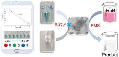 Graphical abstract: 2D-rGO-supported FePc bifunctional nanozyme with enhanced catalytic activity for thiosulfate detection and rhodamine B degradation