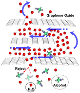 Graphical abstract: Role of water in vapor permeation through graphene oxide membranes