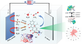 Graphical abstract: Unveiling the intrinsic electrochemical mechanism of supporting electrolyte and the interaction mechanism in electrochemical oxidation of tetracycline with nano-PbO2