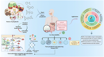 Graphical abstract: Recent advances in dietary polyphenols (DPs): antioxidant activities, nutrient interactions, delivery systems, and potential applications