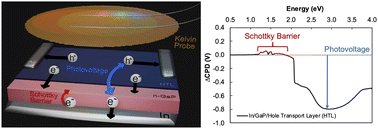 Graphical abstract: Surface photovoltage predicts open circuit voltage in GaP/PEDOT:PSS and GaP/CuSCN heterojunction solar cells