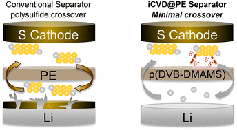 Graphical abstract: Mitigating polysulfide crossover in lithium–sulfur batteries with polymer-coated separators