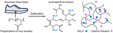 Graphical abstract: Valorization of shoe sole waste into high-performance cationic dye sorbents via sulfonation