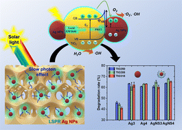 Graphical abstract: Tunable slow photon effect and local surface plasmon in Ag-immobilized TiO2 inverse opal films for enhancing pollutant photodegradation