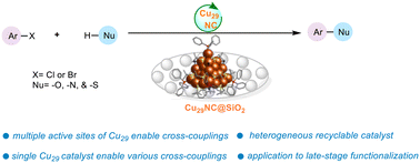 Graphical abstract: Multiple neighboring active sites of an atomically precise copper nanocluster catalyst for efficient bond-forming reactions