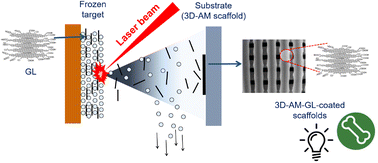 Graphical abstract: An integrated design strategy coupling additive manufacturing and matrix-assisted pulsed laser evaporation (MAPLE) towards the development of a new concept 3D scaffold with improved properties for tissue regeneration