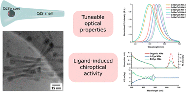 Graphical abstract: Chiroptically active quantum nanonails
