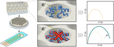 Graphical abstract: Block copolymer-assembled nanopore arrays enable ultrasensitive label-free DNA detection