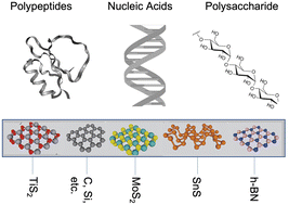 Graphical abstract: Biocomposites of 2D layered materials