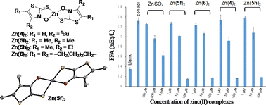 Graphical abstract: Synthesis, crystal structure, and insulin-mimetic activity of zinc(ii) complexes with 4-alkyl- and 4,5-dialkyl-3-hydroxythiazole-2(3H)-thiones as a new class of hypoglycemic agent candidates