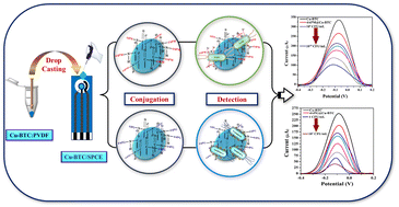 Graphical abstract: An electrochemical biosensor based on glyco-conjugated Cu-BTC MOFs for voltammetric detection of bacteria
