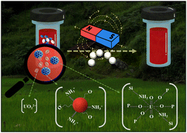 Graphical abstract: Nanoarchitectonics with hybrid −O–(PO2)3–O−⋯+NH3–SiO⋯Fe3O4 magnetite particles as a decorporating agent for the removal of uranyl from blood serum