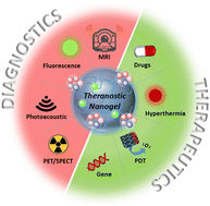 Graphical abstract: Theranostic nanogels: multifunctional agents for simultaneous therapeutic delivery and diagnostic imaging