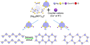 Graphical abstract: Assembly of anionic silver nanoclusters with controlled packing structures through site-specific ionic bridges