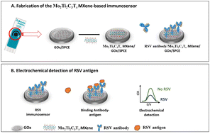 Graphical abstract: Investigation of the Mo2Ti2C3Tx MXene in the electrochemical immunosensing of the respiratory syncytial virus (RSV)
