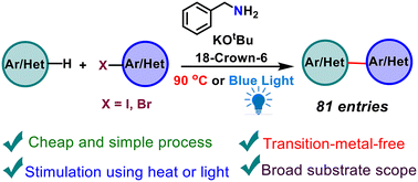 Graphical abstract: Benzylamine promoted direct C–H arylation of arenes and heteroarenes via excitation with heat or light