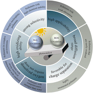 Graphical abstract: Strategic pathway selection for photocatalytic degradation: roles of holes and radicals