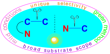 Graphical abstract: Recent advances in the photocatalytic cleavage of C–C and C–N bonds associated with amines and their derivatives
