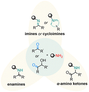 Graphical abstract: Recent advances in catalytic asymmetric condensation reactions for the synthesis of nitrogen containing compounds