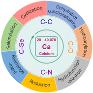Graphical abstract: Recent advances in the application of calcium(ii) triflimide in organic synthesis