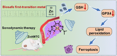 Graphical abstract: Facile synthesis of a hydrazone-based zinc(ii) complex for ferroptosis-augmented sonodynamic therapy