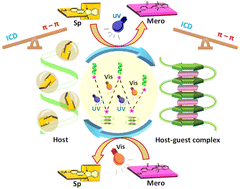 Graphical abstract: Light-induced twisting, untwisting, and retwisting of aromatic polyamides: an interplay between the induced chirality and the co-facial π-stacking interactions