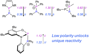 Graphical abstract: A focus on phosphinophosphination of apolar bonds by a structurally constrained P–P bonded system