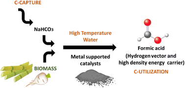 Graphical abstract: Reduction of CO2 captured in basic solutions with biomass as reducing agent and metallic catalysts