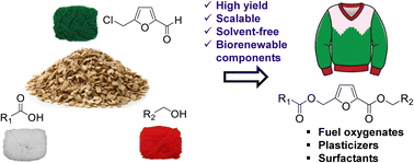 Graphical abstract: Synthesis of novel diesters as potential fuel oxygenates and surfactants of renewable origin from carbohydrate-derived 5-(chloromethyl)furfural