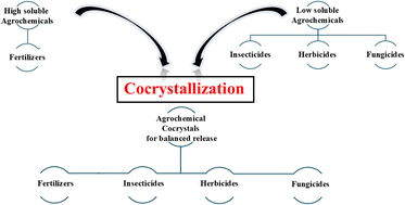 Graphical abstract: Sustainable by (crystal) design: novel materials for agriculture via active ingredient cocrystallization