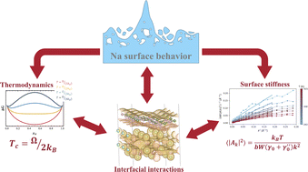 Graphical abstract: Na vs. Li metal anodes for batteries: unraveling thermodynamic and electronic origins of voids and developing descriptors for artificial surface coatings