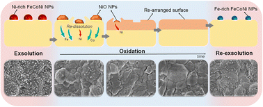 Graphical abstract: Understanding the evolution of ternary alloyed nanoparticles during reversible exsolution from double perovskite oxides