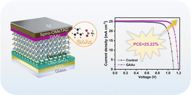 Graphical abstract: Synergistic surface modulation with isotropic 2D GA2PbI4 and Lewis base enhances efficiency and stability of perovskite solar cells