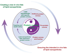 Graphical abstract: Looking back, moving forward: protein corona of lipid nanoparticles