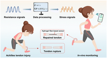Graphical abstract: High-strength fibrous sensors with an enhanced aggregate state for biomechanical monitoring of the Achilles tendon