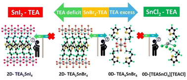 Graphical abstract: Chemically driven dimensionality modulation of hybrid tin(ii) halide perovskite microcrystals