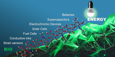 Graphical abstract: Looking beyond biology: glycosaminoglycans as attractive platforms for energy devices and flexible electronics