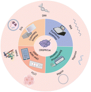 Graphical abstract: CRISPR/Cas-based detection strategies for tumor biomarker detection