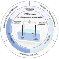 Graphical abstract: Bifunctional transition-metal catalysts for energy-saving hydrogen generation from nitrogenous wastewater