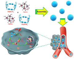 Graphical abstract: A water-soluble cationic [2]biphenyl-extended pillar[6]arene: synthesis, host–guest interaction with hemin and application in chemodynamic/photodynamic cancer therapy