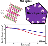 Graphical abstract: Enhancing the cycling stability of Co-free high-Ni layered cathodes through MgO surface engineering