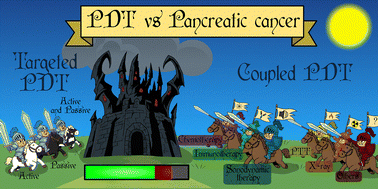 Graphical abstract: Targeted photodynamic therapy for pancreatic cancer: recent innovations from fundamentals to in vivo and clinical applications (2020–2025)