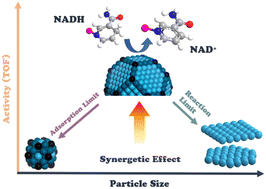 Graphical abstract: Heterogeneous catalysis of large biomolecules: insights from platinum particle size in NAD+ regeneration