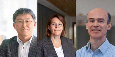 Graphical abstract: Mixed-anion compounds