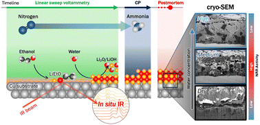 Graphical abstract: In situ spectroscopy reveals how water-driven SEI formation controls selectivity in Li-mediated N2 reduction