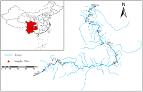 Graphical abstract: Co-occurrence of microbial source tracking markers and antibiotic resistance genes in Chishui River, China