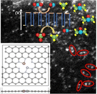 Graphical abstract: Ni and Mo atom pairs as single sites on N-doped graphitic carbon for urea formation by simultaneous CO2 and NO3− reduction with pulsed electrocatalysis